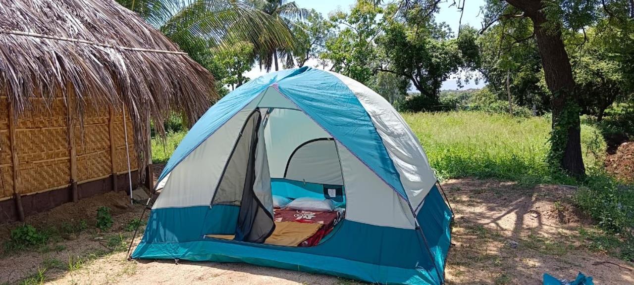 Banana Tree Home Stay ハンピ エクステリア 写真