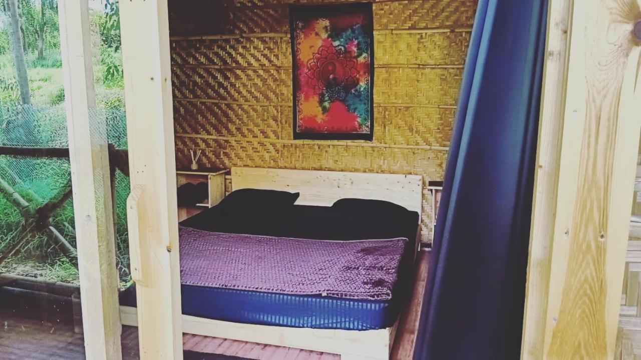 Banana Tree Home Stay ハンピ エクステリア 写真