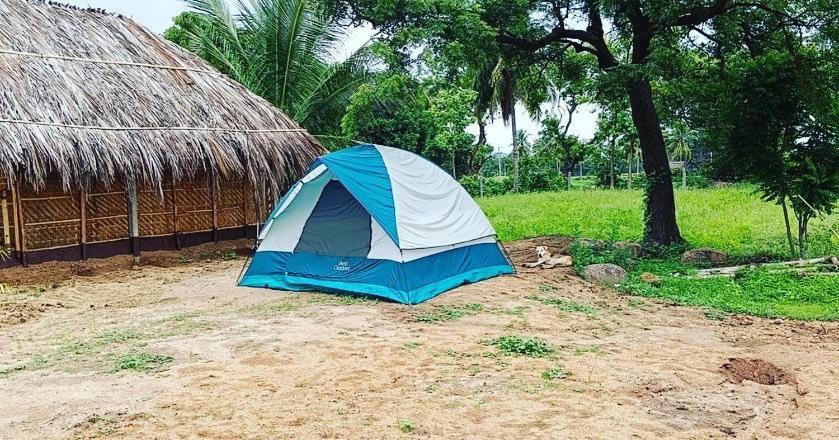 Banana Tree Home Stay ハンピ エクステリア 写真