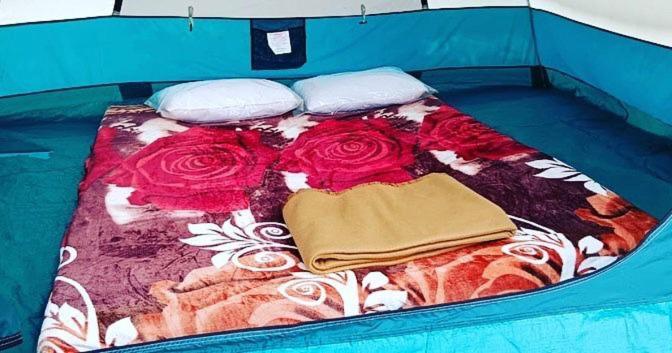 Banana Tree Home Stay ハンピ エクステリア 写真