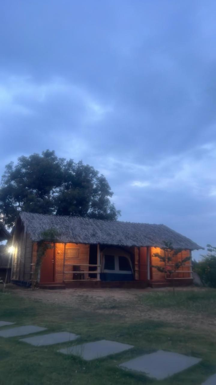 Banana Tree Home Stay ハンピ エクステリア 写真