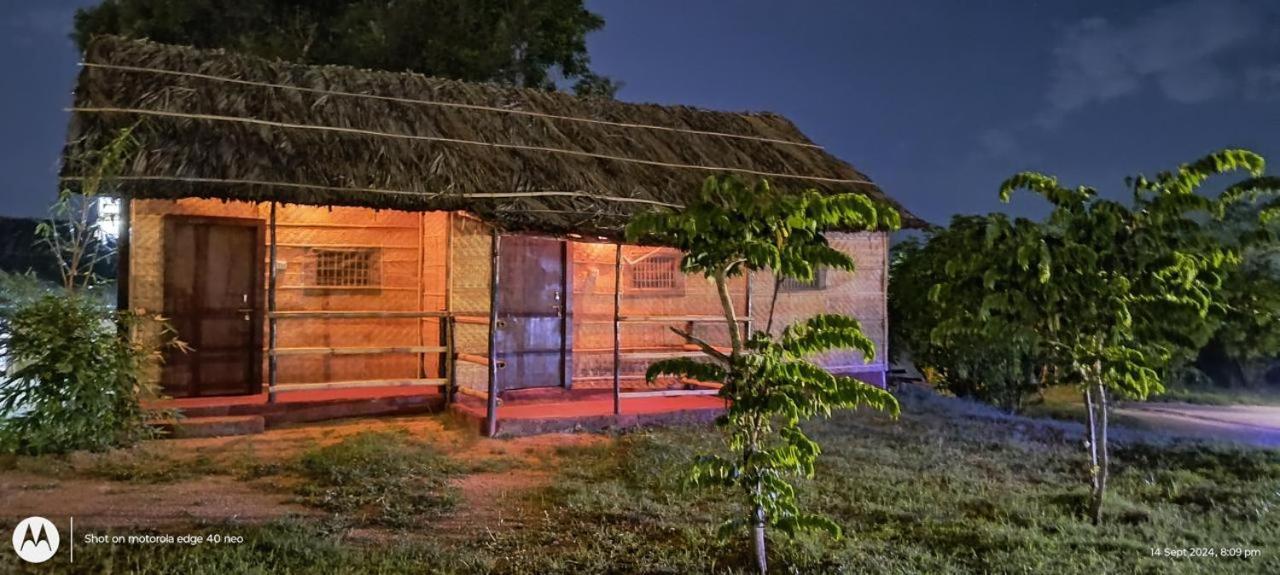 Banana Tree Home Stay ハンピ エクステリア 写真