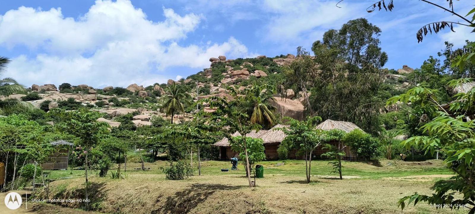 Banana Tree Home Stay ハンピ エクステリア 写真